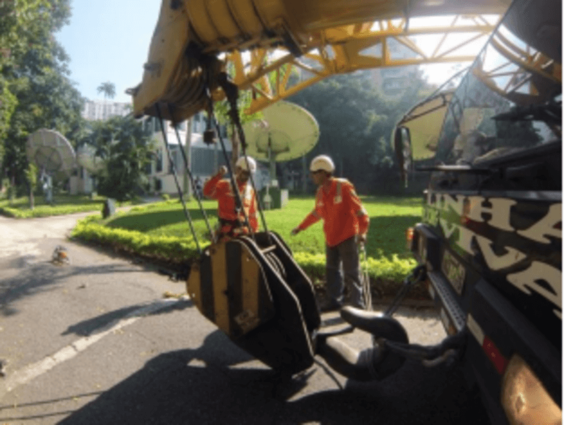 Imagem de um serviço da Poda Carioca