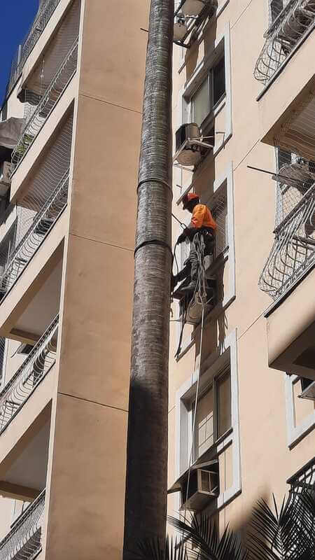 Imagem de um serviço da Poda Carioca