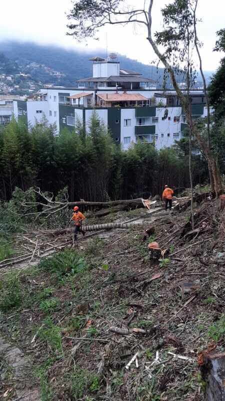 Imagem de um serviço da Poda Carioca